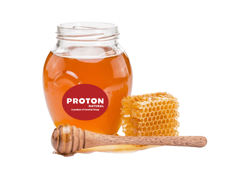 RAW EUCALYPTUS HONEY - Görsel 3