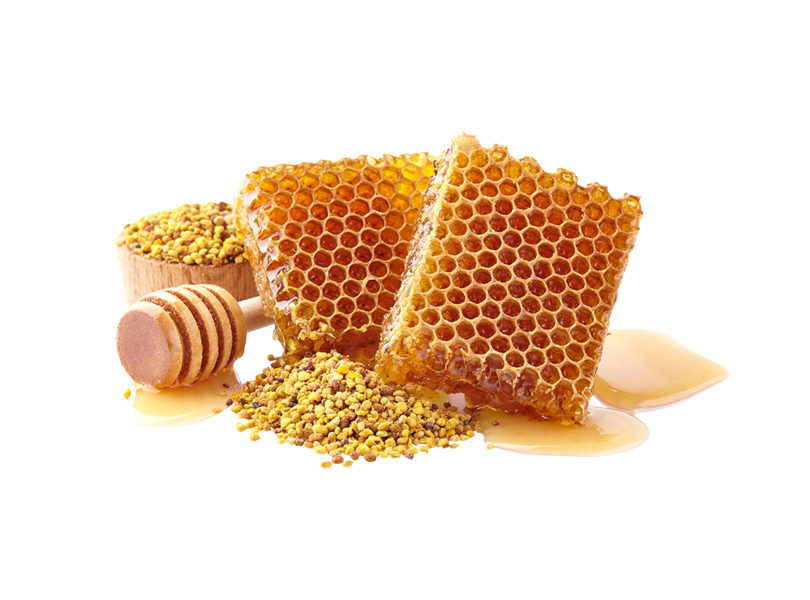 RAW EUCALYPTUS HONEY - Görsel 4